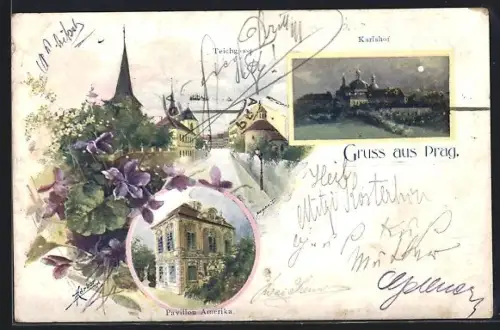 Künstler-AK Prag / Praha, Karlshof, Teichgasse mit Türmen, Pavillon Amerika, Rahmen, Blumen