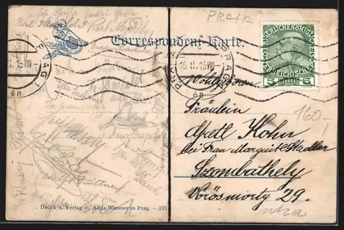 Künstler-AK Prag / Praha, Karlshof, Teichgasse mit Türmen, Pavillon Amerika, Rahmen, Blumen