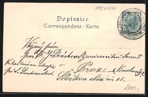 Lithographie Prag / Praha, Panorama der Stadt