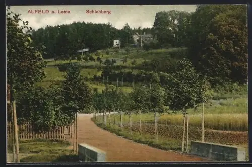 AK Alfeld a. Leine, Schlehenberg