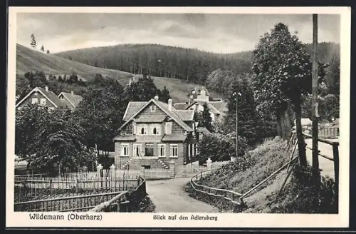 AK Wildemann /Oberharz, Blick auf den Adlersberg
