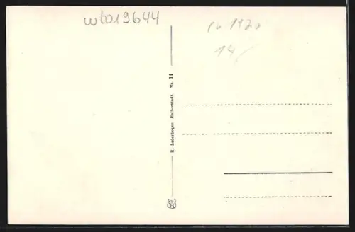 AK Wildemann /Oberharz, Blick auf den Adlersberg