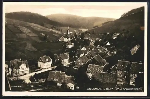 AK Wildemann i. Harz, Ortsansicht vom Schöneberg