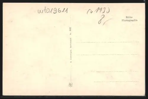 AK Wildemann i. Harz, Ortsansicht vom Schöneberg