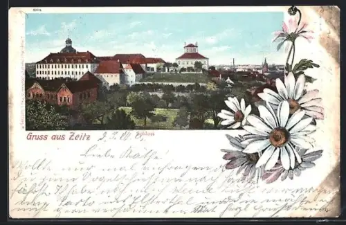 AK Zeitz, Blick zum Schloss