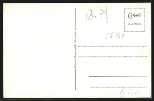 AK Neuwied, Deichpromenade mit Deichkrone