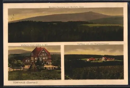 AK Torfhaus /Oberharz, Wulfert`s Hotel, Brocken-Panorama