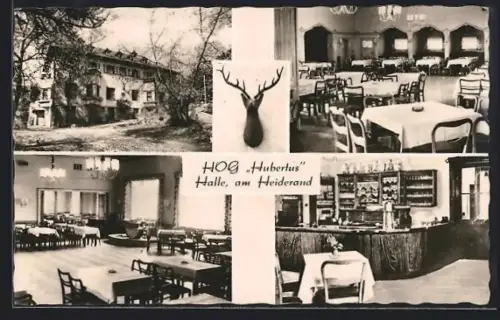 AK Halle / Saale, HO-Gaststätte Hubertus am Heiderand