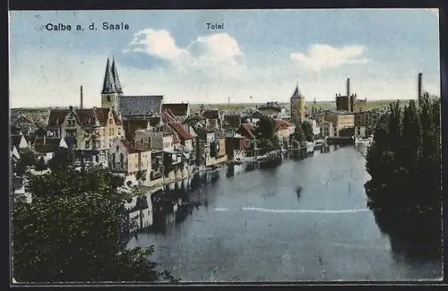 AK Calbe a. d. Saale, Totalansicht mit Flusspartie