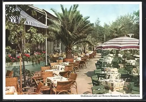 AK Hamburg, Orchideen-Café mit Riviera-Konzert-Terrasse