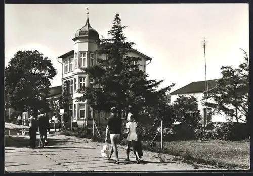 AK Vitte /Hiddensee, Strassenansicht mit Wohnhaus und Spaziergängern