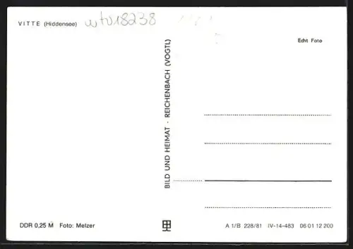 AK Vitte /Hiddensee, Strassenansicht mit Wohnhaus und Spaziergängern