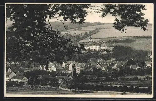 AK Crossen a. d. Elster, Blick auf Stadt und Schloss