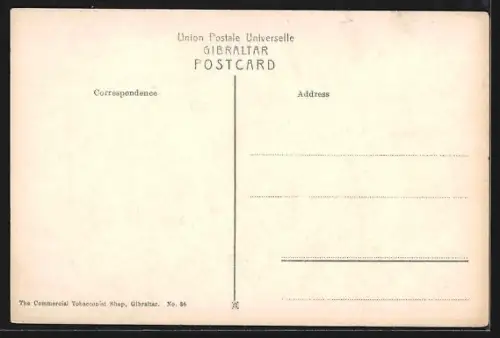 AK Gibraltar, The Neutral Ground