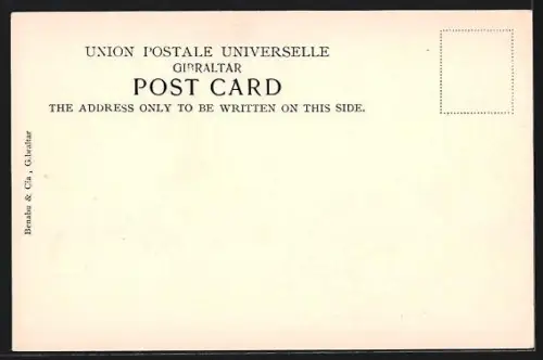 AK Gibraltar, Casemates