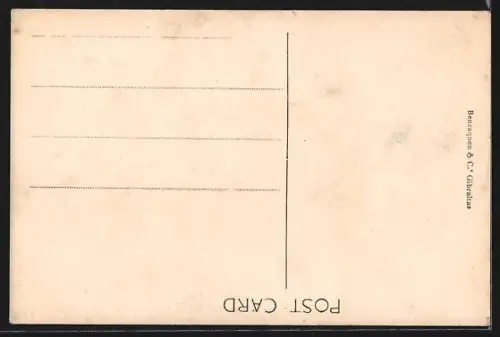 AK Gibraltar, The Market