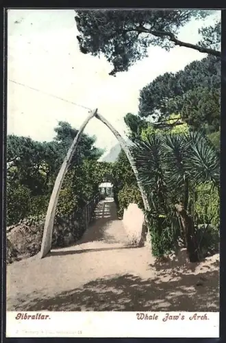 AK Gibraltar, Whale Jaw`s Arch