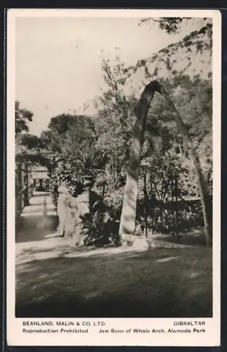 AK Gibraltar, Alameda Park, Jaw Bone of Whale Arch