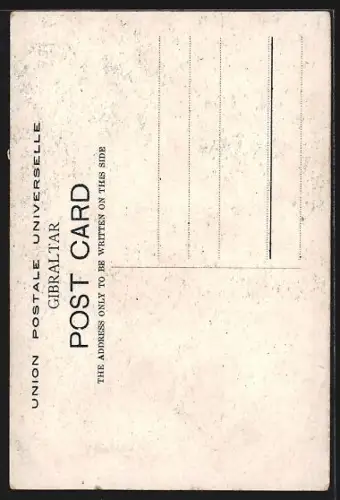 AK Gibraltar, Summershel