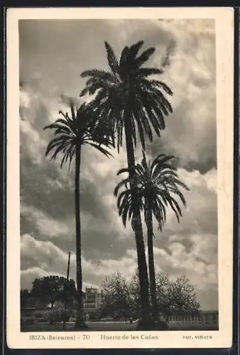 AK Ibiza /Baleares, Huerto de la Canas