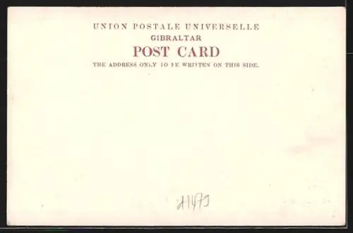 AK Gibraltar, the Commercial Mole