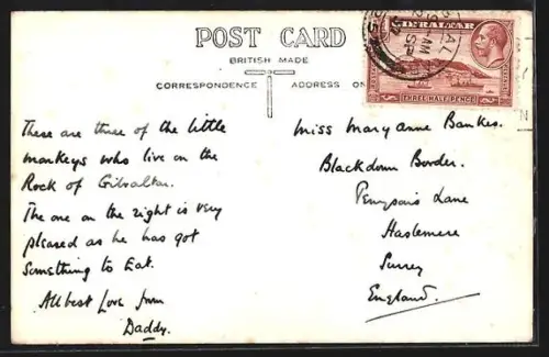 AK Gibraltar, Three Monkeys