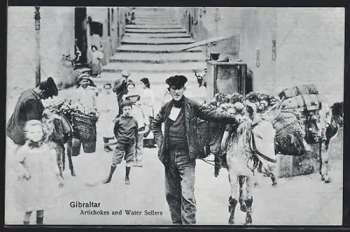 AK Gibraltar, Artichokes & Water Sellers, Esel