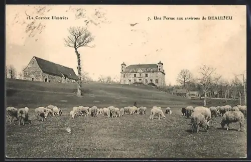 AK Beaulieu /Corrèze, Une ferme et des moutons au pâturage