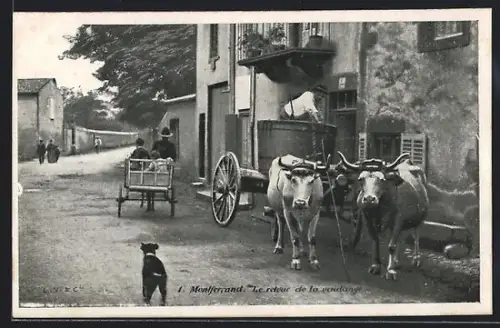 AK Montferrand, Le retour de la vendange