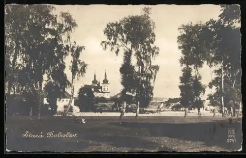 AK Stará Boleslav, Panorama