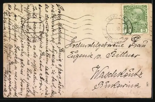 AK Ljubljana / Laibach, Gesamtansicht mit Steiner Alpen