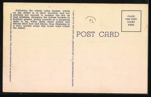 AK Various Species of Cactus as seen on the Desert