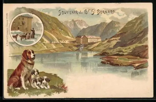 Lithographie Grand Saint-Bernard, Blick auf See mit Haus und Bergen, Bernhardiner mit Welpen und im Schnee