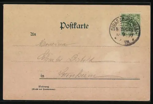 Lithographie Strassburg, Restaurant Rheinlust, Münster, Rheinbrücke