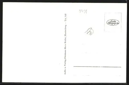 AK Marienberg i. Westerwald, Ortspanorama mit Strasse