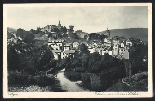 AK Siegen, Blick zum oberen Schloss