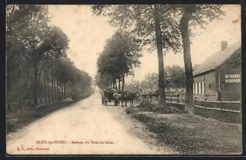 AK Sains-du-Nord, Avenue du Pont-de-Sains avec chariot et chevaux