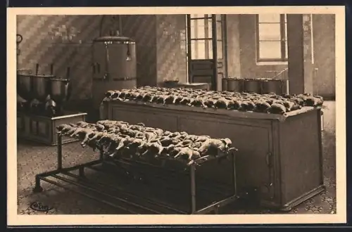 AK Zuydcoote /Nord, 120 poulets troussés, Sanatorium National Vancauwenberghe