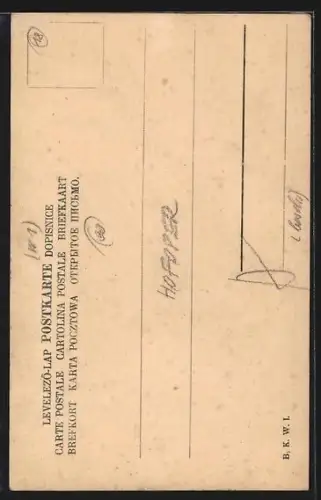 AK Opernsängerin Fr. Forster im Kostüm