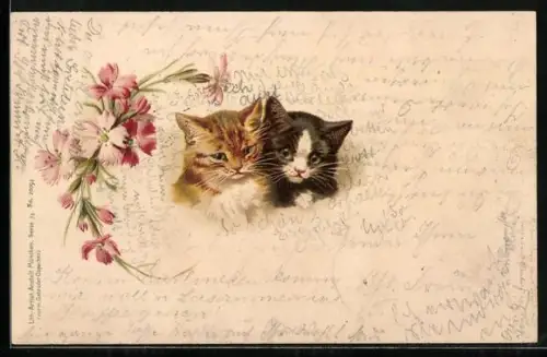 Lithographie Zwei kleine Katzen, Blumen
