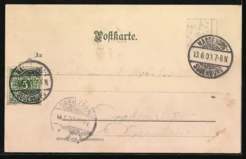 Lithographie Zwei kleine Katzen, Blumen