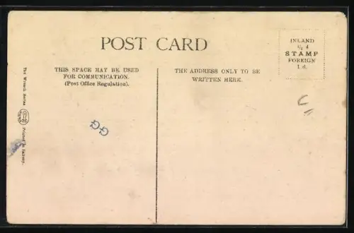 AK Mississippi Alligator im Freien