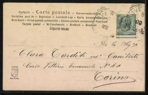 AK S. Gottardo, Zwei Hunde