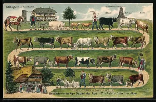 AK Heimkehr des Nutzviehs von der Feldberg-Alp