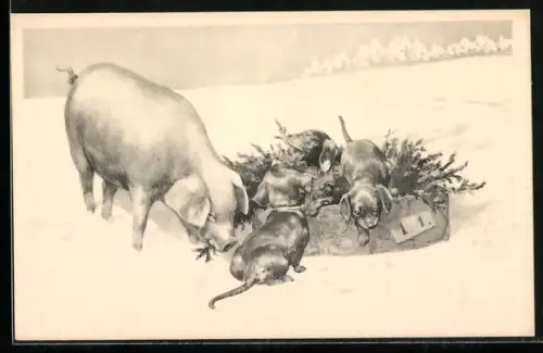 AK Schwein und Hundewelpen in einer Kiste mit Tannenzweigen im Schnee