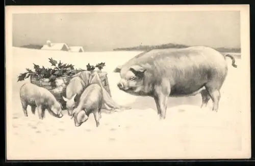 AK Schwein und Ferkel mit einer Kiste im Schnee