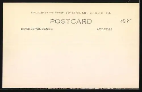 AK Angespannte Polarhunde im Schnee