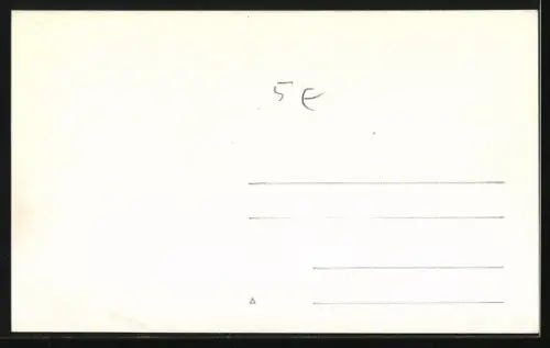 AK Isla Pinguin /Territorio Santa Cruz, Pinguinkolonie