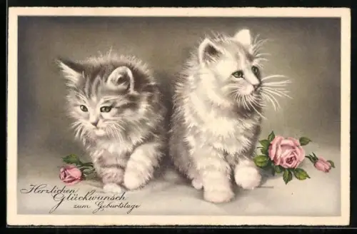 AK Zwei kleine getigerte Katzen, Rosen, Geburtstagsgruss