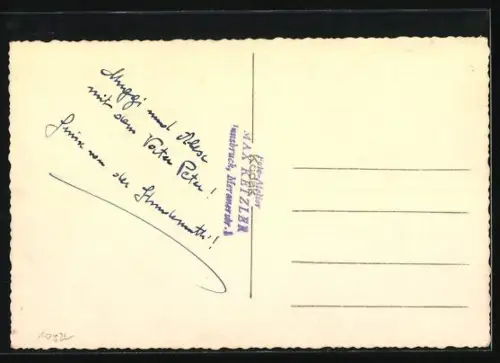 Foto-AK Drei Terrier mit gebanntem Blick